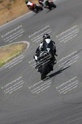 media/Jun-24-2023-2WTD (Sat) [[c7c232b220]]/Group C/Back Shots/